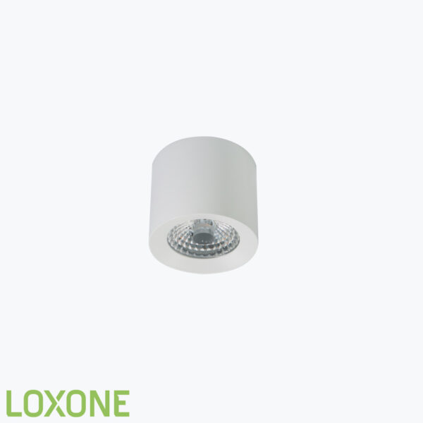 Product: 100236 - Loxone LED Opbouwspot WW PWM Wit. Verkocht door Keysoft-Solutions - Hoofdafbeelding