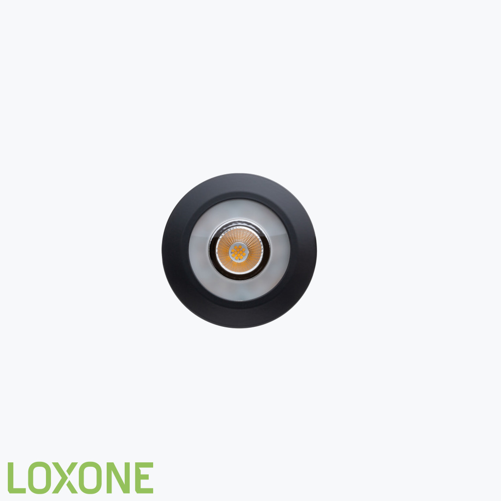 Product: 100334 - Loxone LED Spot RGBW Tree Antraciet. Verkocht door Keysoft-Solutions - Hoofdafbeelding