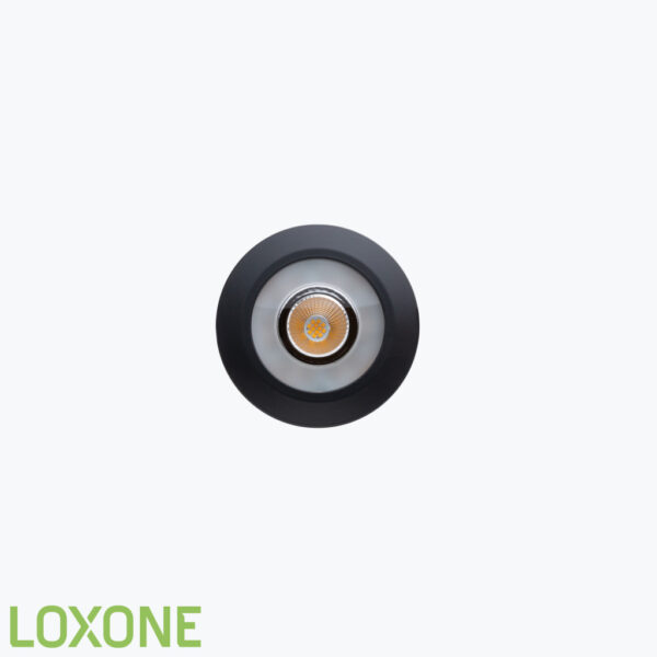 Product: 100331 - Loxone LED Spot WW PWM Antraciet. Verkocht door Keysoft-Solutions - Hoofdafbeelding