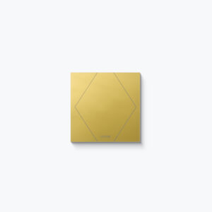 Product: 100501 - Loxone Touch Pure Air Vienna Edition GEN 2. Verkocht door Keysoft-Solutions - Afbeelding
